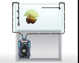 Lọc thùng bể cá Foshan Periha - Product Image 2