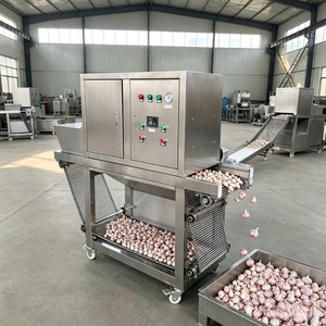 Équipement <span class=keywords><strong>de</strong></span> pelage <span class=keywords><strong>d</strong></span>'<span class=keywords><strong>ail</strong></span> haute capacité, éplucheur à chaîne en acier inoxydable, <span class=keywords><strong>d</strong></span>épelucheuse <span class=keywords><strong>d</strong></span>'<span class=keywords><strong>ail</strong></span> pour ligne <span class=keywords><strong>de</strong></span> production industrielle - Product Image 1