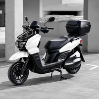 Scooter électrique à grande roue 1500W 2000W 60V/72V 12 pouces pour véhicule, moto, mobilité adulte, vélo électrique avec porte-boîte
