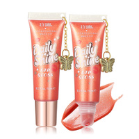 OEM Kustomisasi 2025 Baru 6 Warna Lipgloss Cair Tahan Lama 10 ml 0.33 oz Set Tabung Lunak Liontin Perhiasan Grosir Partai Besar