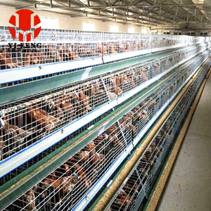 กรงไก่เนื้ออัตโนมัติแบบชุบสังกะสีสำหรับพื้นที่เขตร้อน พร้อมเคลือบกันความชื้นแบบเอเชียตะวันออกเฉียงใต้ และอุปกรณ์ให้อาหารไก่อัตโนมัติ - Product Image 1