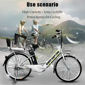 จักรยานไฟฟ้าปลาเงินจักรยานไฟฟ้าแบตเตอรี่สำหรับ Ebike 13Ah W 15A W มอเตอร์ขายร้อน36V 48V 18Ah 250 350แบตเตอรี่ลิเธียมไอออน