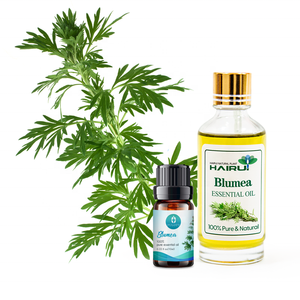 Rifornimento della fabbrica di olio di Blumea di <span class=keywords><strong>erbe</strong></span> naturali per aromaterapia grado Blumea olio per alleviare il disagio del corpo e rilassare i muscoli - Product Image 4