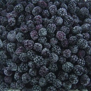 Migliore Qualità, Cartone da 10 kg, Mora Cinese Congelata Sana e Certificata HACCP per Lavorazione Alimentare - Product Image 3