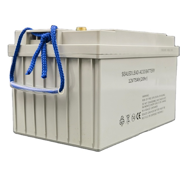 12V 65Ah 75Ah 80Ah 100Ah 120Ah Gel Battery Deep Cycle Lead Acid Battery for Electric Forklifts