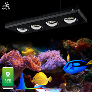 WEEK AQUA fabricants <span class=keywords><strong>de</strong></span> lumière d'<span class=keywords><strong>aquarium</strong></span> lumière bleue <span class=keywords><strong>de</strong></span> récif <span class=keywords><strong>led</strong></span> <span class=keywords><strong>aquarium</strong></span> lumière <span class=keywords><strong>de</strong></span> corail marin sel et <span class=keywords><strong>lampe</strong></span> à <span class=keywords><strong>eau</strong></span> pour réservoir <span class=keywords><strong>de</strong></span> récif <span class=keywords><strong>de</strong></span> la <span class=keywords><strong>mer</strong></span> rouge - Product Image 1