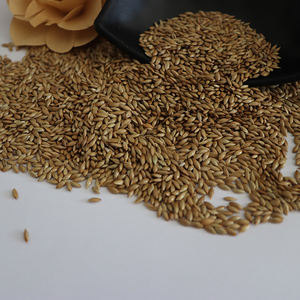 Bulkprijs Vink Vogelvoer 25Kg Groot Pakket Kanariezaad Voor Groene Vinken - Product Image 5