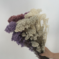 Bouquet de fleurs de millet séchées et préservées de haute qualité, tiges naturelles de 50 cm, pour la décoration de mariage