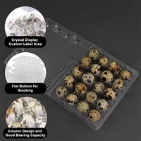 Cartons d'oeufs de caille en plastique Emballage d'oeufs de caille 20 trous Fournisseurs de boîtes d'oeufs de caille