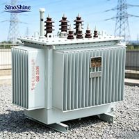 SinoShine Şebeke Dışı Güneş Enerjisi Yağlı Güç Trafosu 100kVA 200kVA 315kVA 11kV Elektrik Ekipmanları Dağıtım Transformatörleri