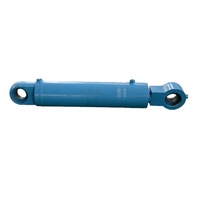 Cylindre hydraulique à rotule pivotante soudée