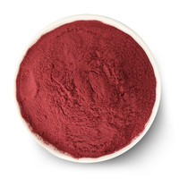 Poudre conducteur de couleur rouge, racine de Beet, jus de racine