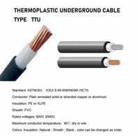 Cable de Alimentación Subterráneo de Cobre PVC Tipo TTU 2000V 600V 8AWG 2AWG 1*50.0 mm Industrial CN