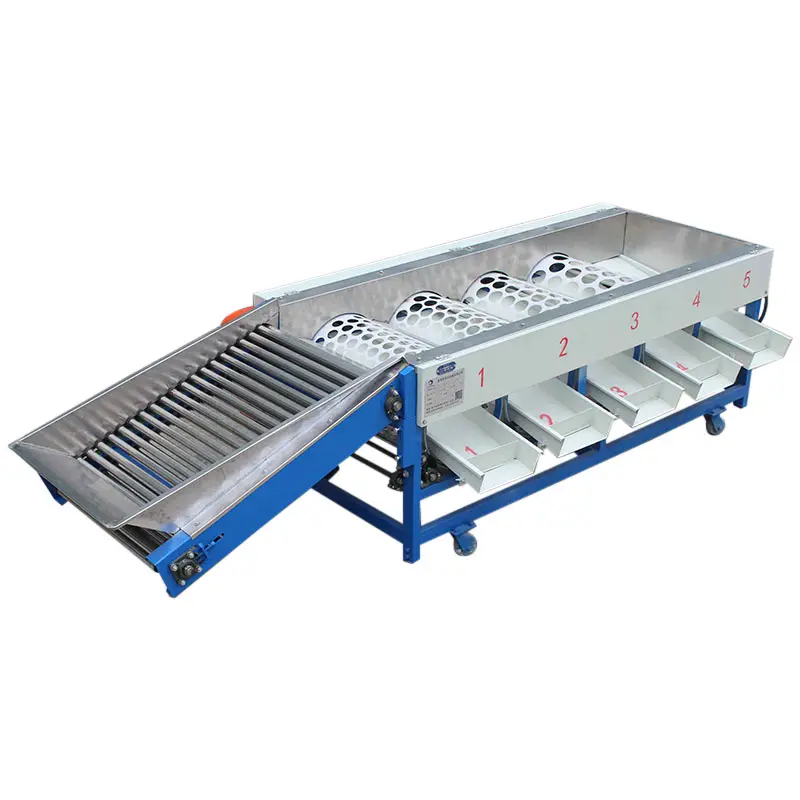 5 Grades Small Round Fruit Tomato Size Sorter Sorting Machine Price