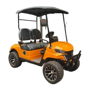 Voiturette de golf électrique 4 roues, design moderne, véhicule utilitaire extérieur durable - Product Image 1