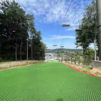 Dalles de sol en plastique LLDPE pour piste de ski artificielle, tapis de ski, revêtement de sol pour sports de neige et jardin