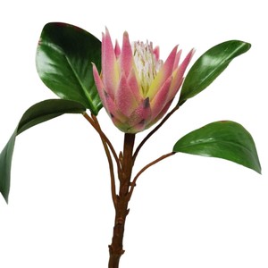 Fleur artificielle réaliste en tissu <span class=keywords><strong>de</strong></span> type King Protea, tige <span class=keywords><strong>de</strong></span> fleur tropicale pour décoration <span class=keywords><strong>de</strong></span> vase <span class=keywords><strong>de</strong></span> salon, événements et bouquets <span class=keywords><strong>de</strong></span> <span class=keywords><strong>mariée</strong></span> - Product Image 5