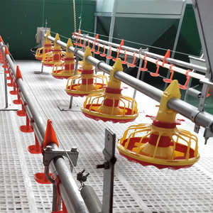 Sistema di Alimentazione Automatico per Allevamento di Polli da Carne per 50.000 Galline - Product Image 2