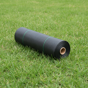 Toile tissée en PP noir écologique <span class=keywords><strong>anti</strong></span>-mauvaises <span class=keywords><strong>herbes</strong></span>, barrière <span class=keywords><strong>anti</strong></span>-<span class=keywords><strong>herbes</strong></span> pour la protection agricole - Product Image 1