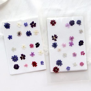 <span class=keywords><strong>Fleur</strong></span> de <span class=keywords><strong>verveine</strong></span> séchée MNR1992 pour la fabrication de bijoux en résine époxy, les créations artisanales pour enfants, les signets, les spécimens végétaux - Product Image 3