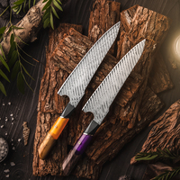 Professionnel 67 Couches En Acier Damas Couteaux De Cuisine Couteau De Chef Coupe-Viande De Fruits avec Résine Soloidifié Bois G10Handle