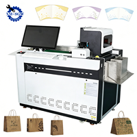 Printer Inkjet Digital Kecepatan Tinggi SGW untuk Pencetakan Tas Kertas, Tas Kertas Kraft, dan Cangkir Kertas
