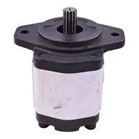 Hidrolik Pompa 5192659 Case Traktör MAXXUM MXU 115 120 130 135 150 125 100 için