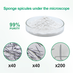 สารสกัดฟองน้ำน้ำจืด Spongilla Lacustris ผงสารสกัดสมุนไพร 99.51% เกรดอาหาร สำหรับไบโอมิโครนีดลิ่ง - Product Image 2