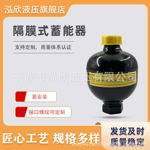 Accumulateur hydraulique à diaphragme Hongxin en acier au carbone, type huile hydraulique émulsionnée - Product Image 2