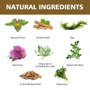 Oem Private Label Natuurlijke Chinese Echte Essiac Thee Biologische 8 Kruidenformule Schapenzuring Met 20% Kliswortel - Product Image 3