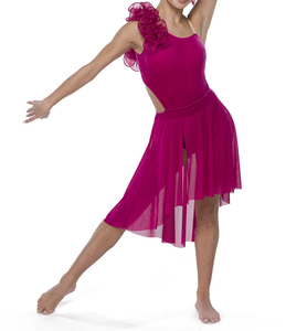 Concours professionnel <span class=keywords><strong>justaucorps</strong></span> <span class=keywords><strong>de</strong></span> danse lyrique élégant haute qualité Spandex scène danse Performance porter des performances élégantes - Product Image 6