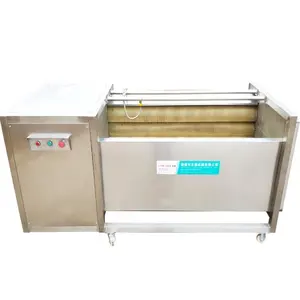 CE Certified 500kg/hr Brush Roller Wash Potato /Cassava /Ginger /Beetroot /Malanga /Yam /Onion /Jicama Peeling Cleaning Machine