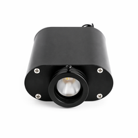 Projecteur de plafond à fibres optiques 12W RGBW LED, contrôle vocal APP RF, ultra-silencieux sans ventilateur pour voiture et maison, effet ciel étoilé