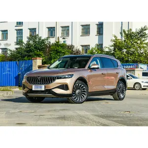 2022 voyah ev chassis cx30 fabricante de carro elétrico, mini jeep e auto carro ev