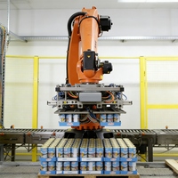 Robot industriel palettiseur avec ventouse à vide pour la manutention de palettes, sacs et boîtes, et empileur de palettes