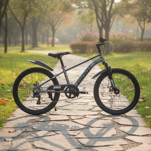 <span class=keywords><strong>Bicicleta</strong></span> de <span class=keywords><strong>Montaña</strong></span> MTB de Acero para Niños y Niñas, con Frenos de Disco, de Una Velocidad, de 16/18/20/22 Pulgadas, Precio de Fábrica - Product Image 5