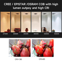 Spot encastré LED DALI dimmable étanche IP65, orientable, pour plafond, lumière chaude 3000K, idéal salle de bain et sauna