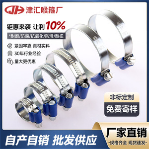 Colliers de serrage pour tuyaux Tianjin Baocheng Blue Ribbon, en fer galvanisé, 26-38 mm, pour la réparation de conduites d'eau - Product Image 4