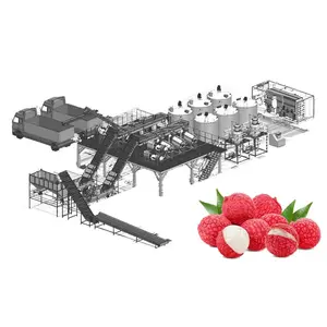 Línea de producción de zumo de frutas, maquinaria de procesamiento de bebidas, maquinaria de procesamiento de vino y bebidas