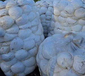 Suministro Directo de Fábrica: Caucho Natural en Trozos de Grado Estándar de Marca Vietnamita, Precio Mayorista, Material de Caucho Crudo para Neumáticos - Product Image 4