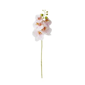 Vente en gros de fleurs artificielles pour la <span class=keywords><strong>d</strong></span>écoration intérieure de mariage orchidée réaliste impression 3d blanche orchidée à 5 têtes en latex au toucher réel - Product Image 5