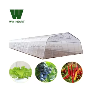 Grandes et <span class=keywords><strong>mini</strong></span> serres agricoles à faible coût Film d'acier en plastique PE métallique pour la <span class=keywords><strong>culture</strong></span> de légumes pour la <span class=keywords><strong>culture</strong></span> de plantes - Product Image 3