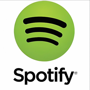 Activez rapidement votre compte familial Spotify Premium d'un an et profitez de votre vie musicale, droits d'agence du panneau de distribution - Product Image 4