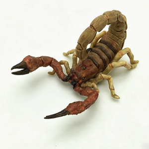 Modello Realistico di Granchio Ermita di Resina Stampato in 3D, Giocattolo di <span class=keywords><strong>Simulazione</strong></span> - Product Image 6