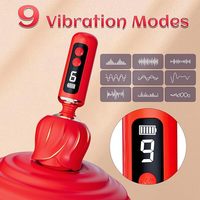 Gelance Weiblicher Masturbationsstab Rose AV Vibrator 9 Modi LED-Anzeige Silikon IPX7 Wasserdicht Magnetisch USB Fernbedienung für Erwachsene