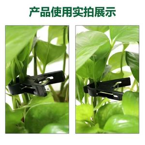 Abrazadera de sujeción para plantas trepadoras negra M86060150 mm, abrazadera en G para soporte de tomate, pepino y vegetales en jardinería doméstica - Product Image 3