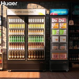 Hiển Thị Pepsi Tủ Đông Đôi Cửa Kính Lạnh <span class=keywords><strong>Showcase</strong></span> Hiển Thị Tủ Lạnh Đứng Tủ Lạnh Lạnh Cho Đồ Uống - Product Image 3