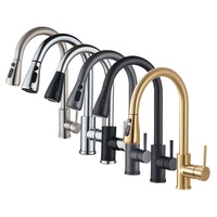 Robinet de cuisine moderne à poignée unique avec douchette extractible, design anti-éclaboussures robuste, construction durable pour usage hôtelier