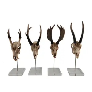 RESIN DINOSAUR COW HEAD SCULPTURE KREATIVE TIER KUH BULL BUFFALO SHEEP LAMB DEER LANGER HORN KOPF MIT STAND