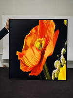 Pantalla LCD Inteligente para Publicidad en Red, Señalización Digital Metálica, Pantalla LCD Cuadrada para Promoción en Centros Comerciales y Tiendas Minoristas